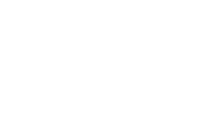Denise Griffin Interiors